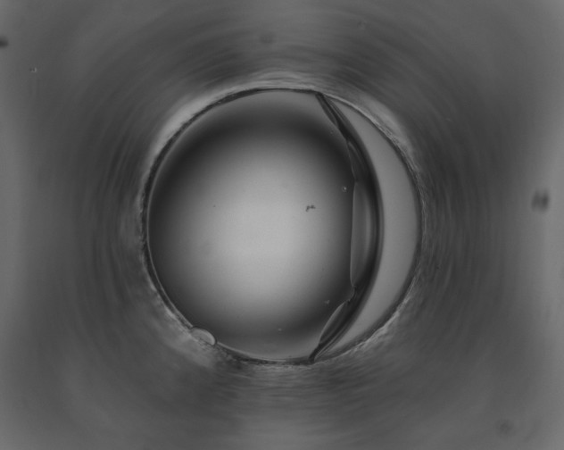 X0000091531192200708241705
