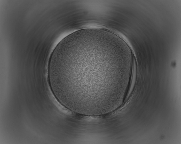 X0000091531195200708241705