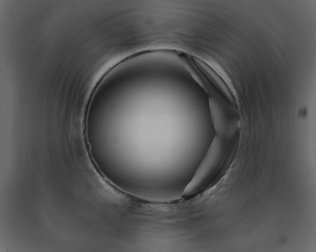 X0000091531197200708241705