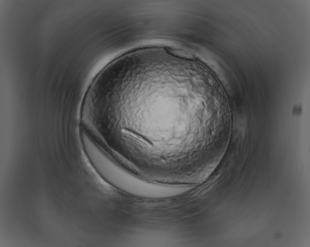 X0000091531199200708241705
