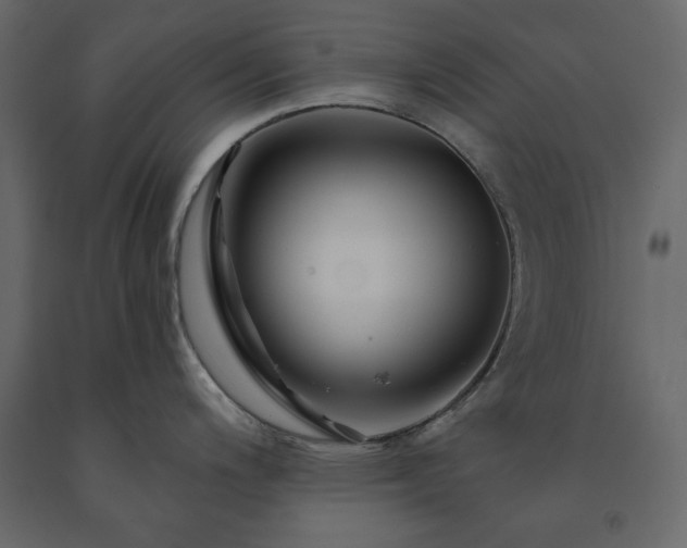 X0000091531200200708241704