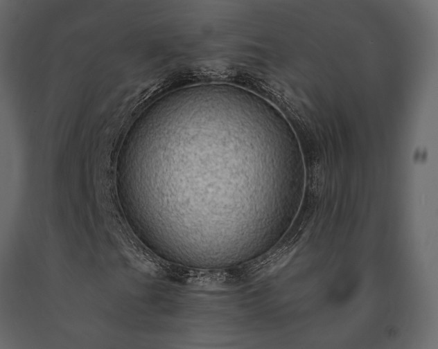 X0000091531201200708241704