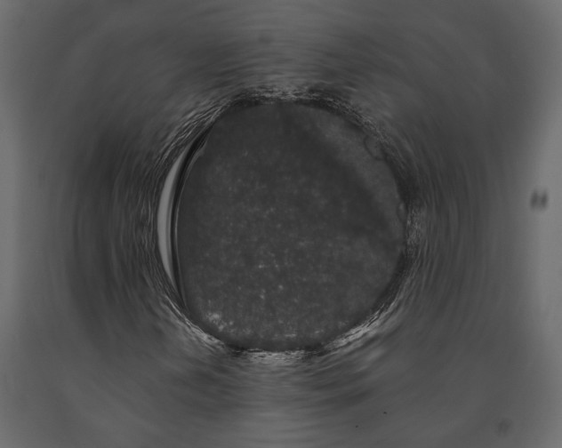 X0000091531202200708241704