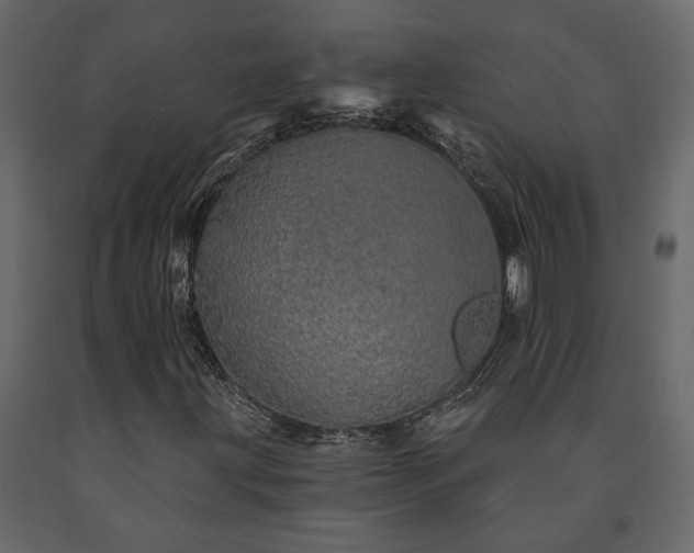X0000091531203200708241704