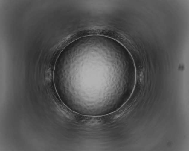 X0000091531204200708241704