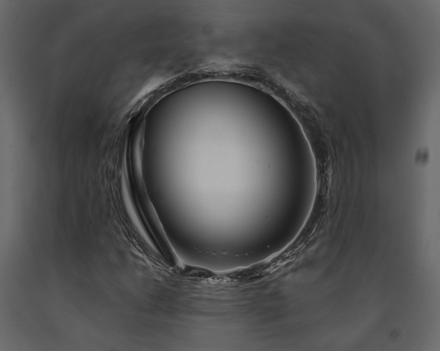 X0000091531206200708241704