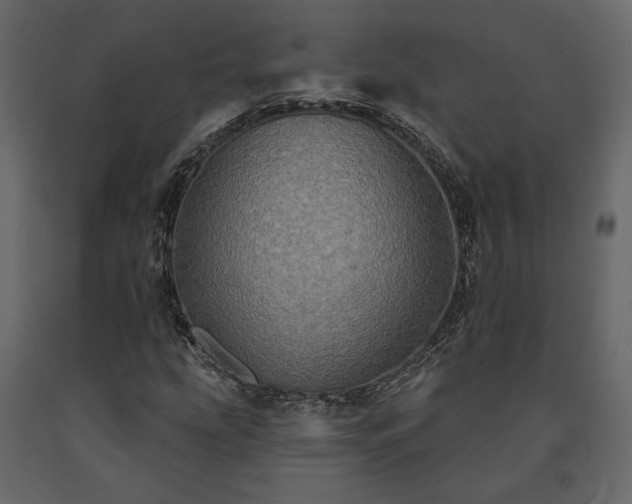 X0000091531207200708241704