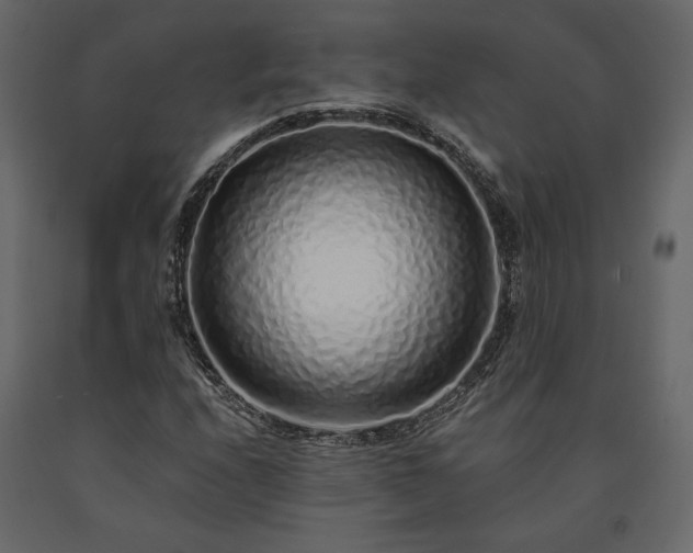 X0000091531208200708241704