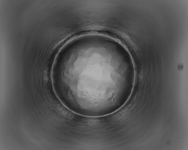 X0000091531209200708241704