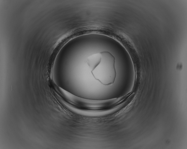 X0000091531210200708241704