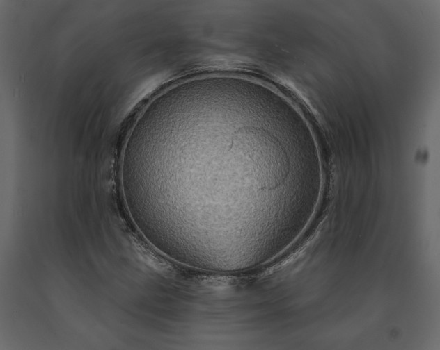 X0000091531211200708241704