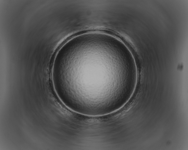 X0000091531212200708241704
