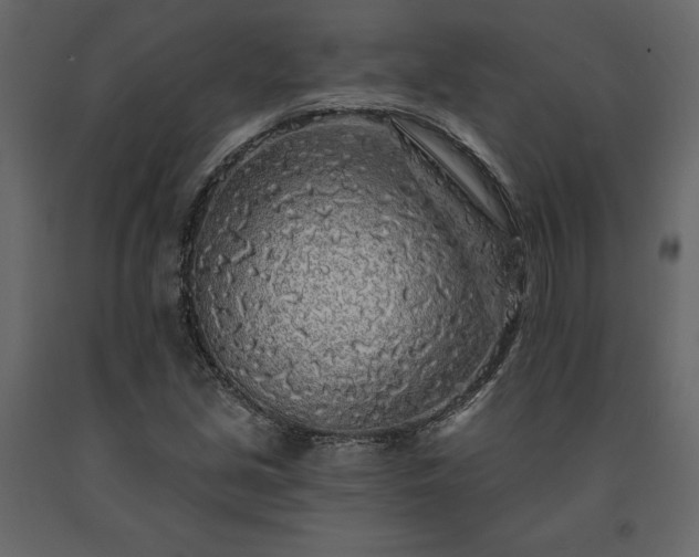 X0000091531213200708241704