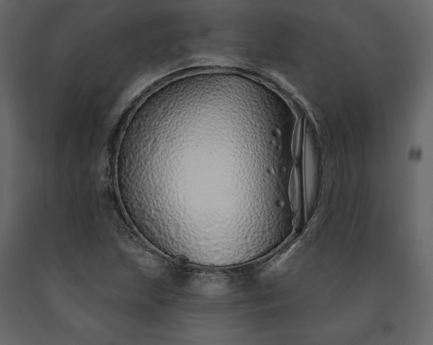 X0000091531215200708241704