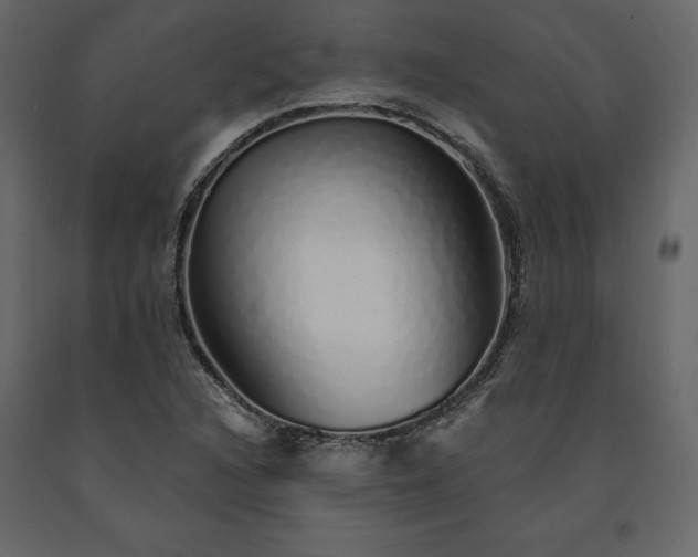 X0000091531216200708241704