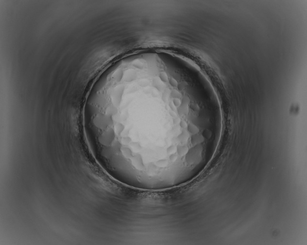 X0000091531217200708241704
