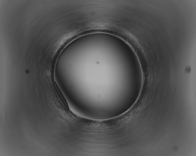 X0000091531218200708241704