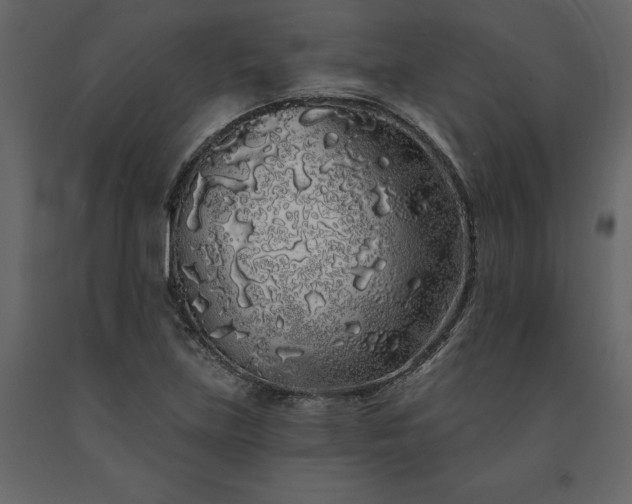 X0000091531219200708241704