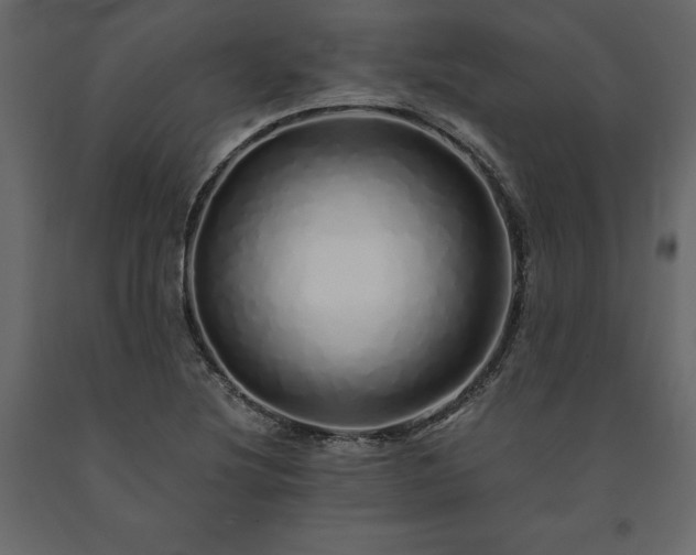 X0000091531220200708241704