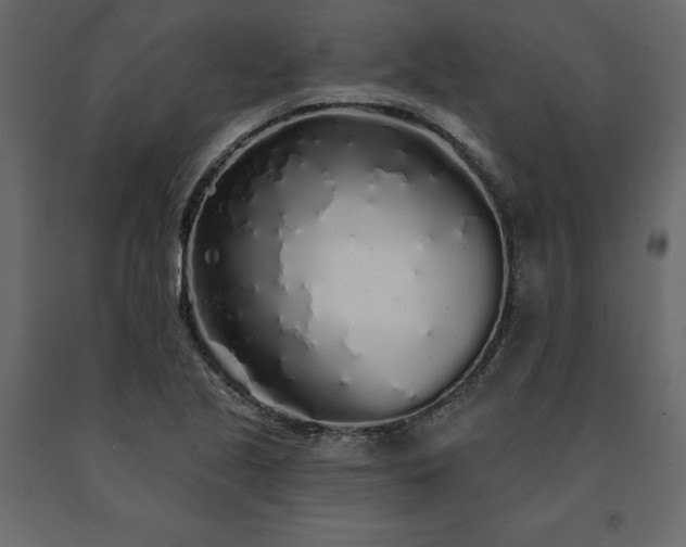 X0000091531221200708241704
