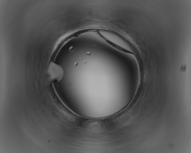 X0000091531222200708241704