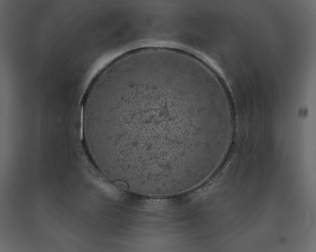 X0000091531223200708241704