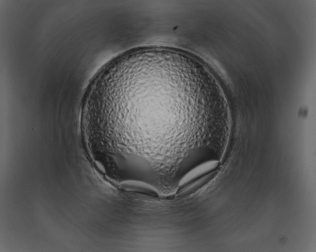 X0000091531224200708241704