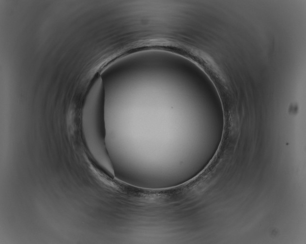X0000091531225200708241704