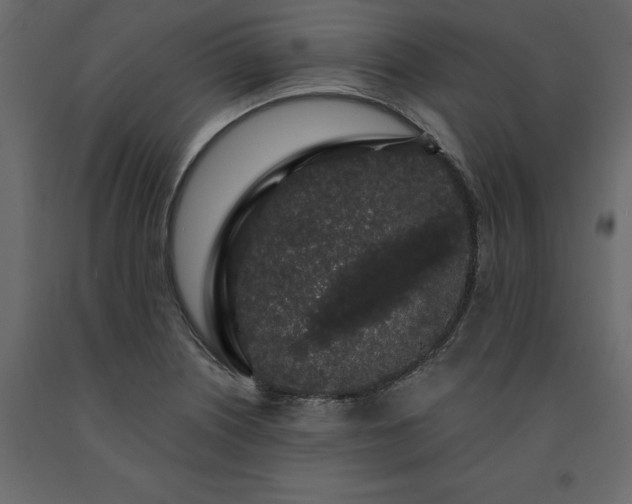 X0000091531226200708241704