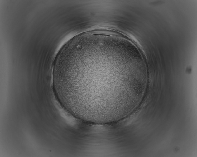 X0000091531227200708241704