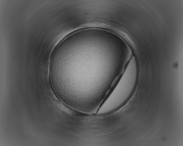 X0000091531228200708241704