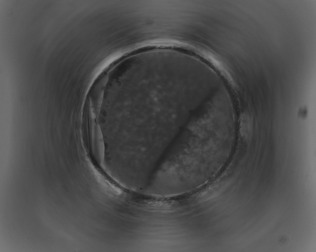 X0000091531229200708241704