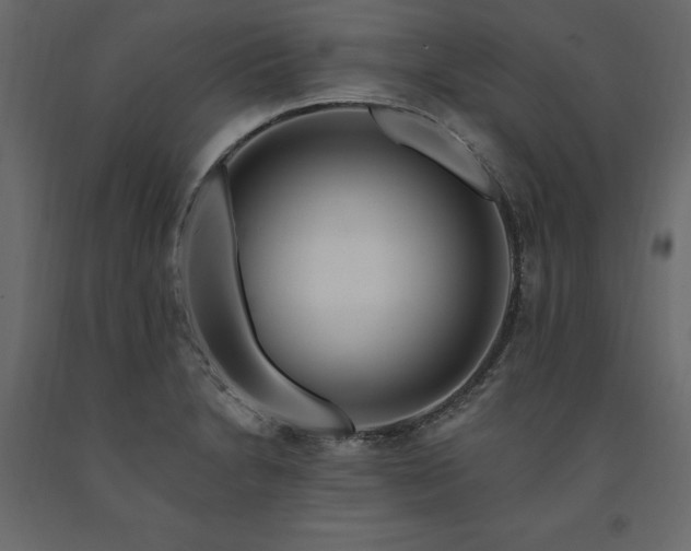 X0000091531230200708241704