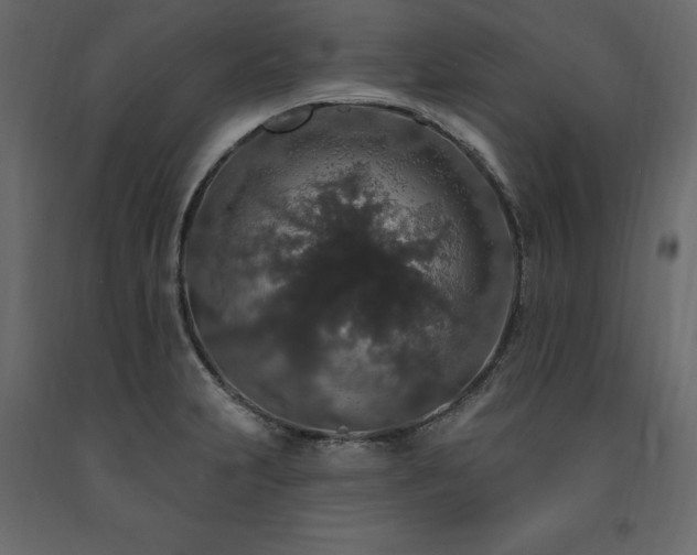 X0000091531231200708241704