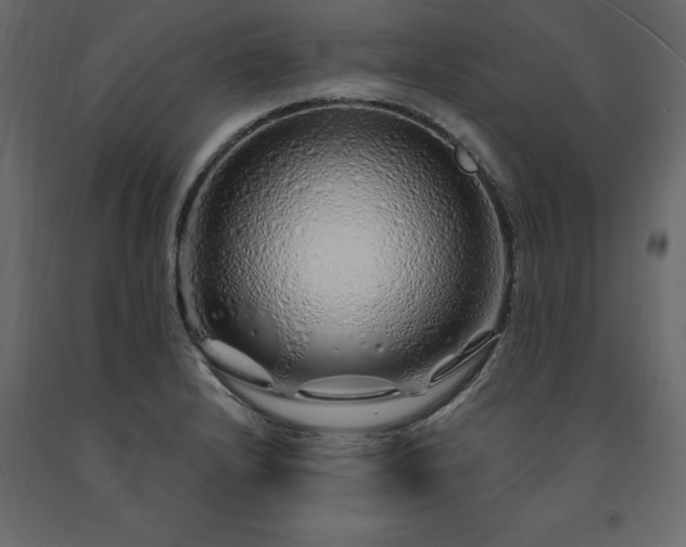 X0000091531232200708241704