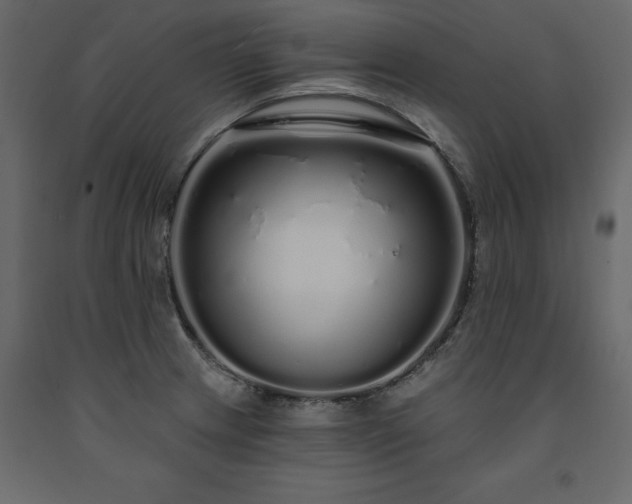 X0000091531233200708241704