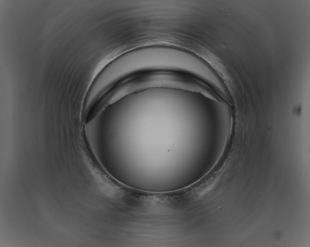 X0000091531234200708241704