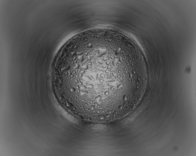 X0000091531235200708241704