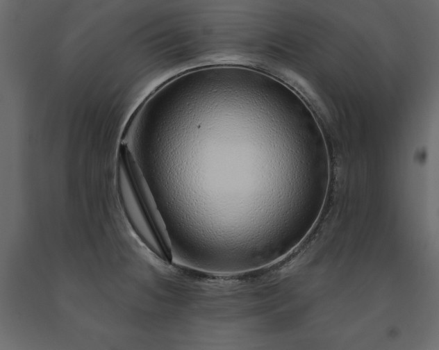 X0000091531236200708241704
