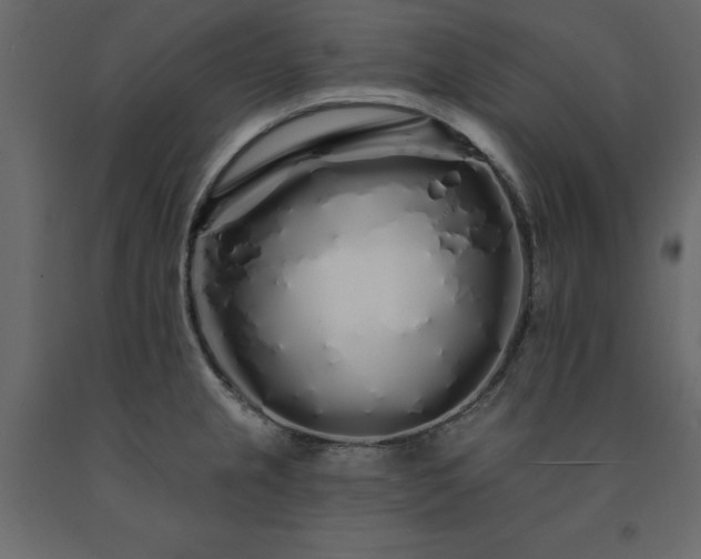X0000091531237200708241704