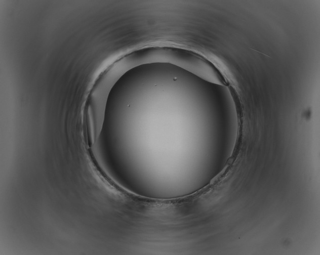 X0000091531238200708241704