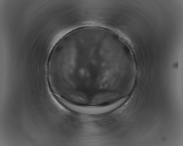 X0000091531239200708241704