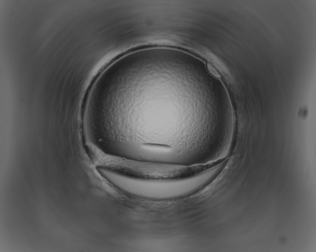 X0000091531240200708241704