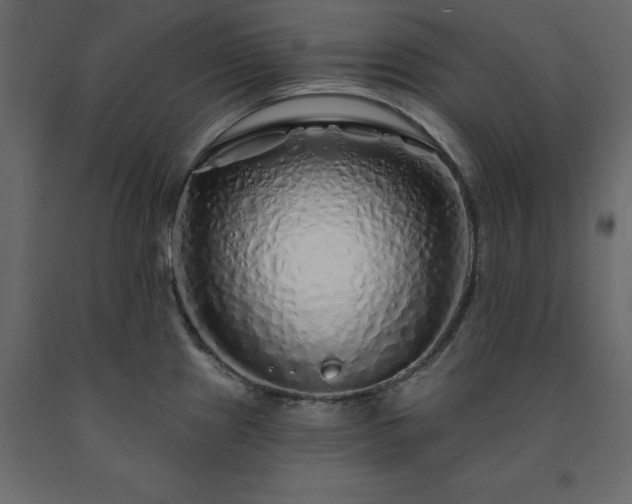 X0000091531241200708241704