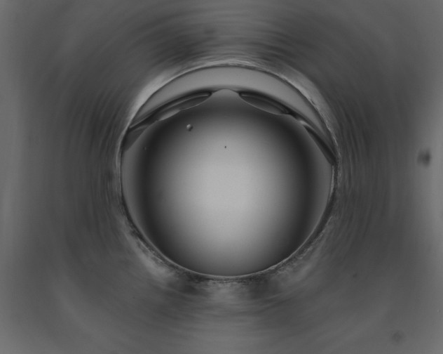 X0000091531242200708241704
