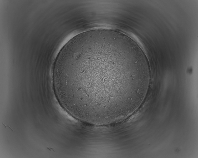 X0000091531243200708241704