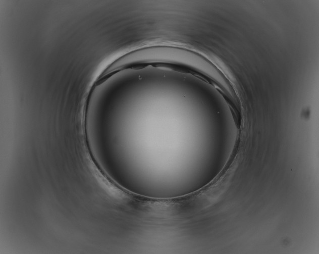 X0000091531246200708241704