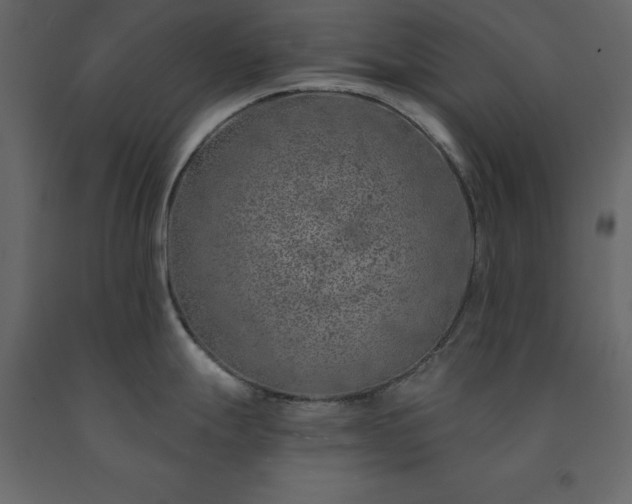 X0000091531247200708241704