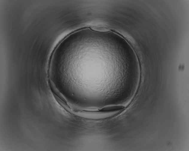 X0000091531248200708241704