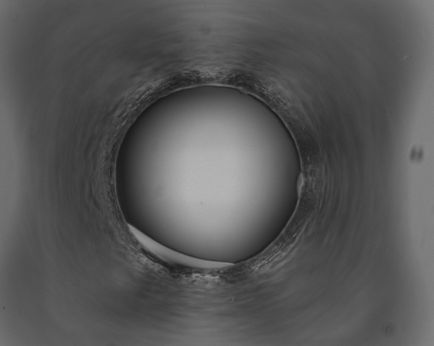 X0000091531249200708241704